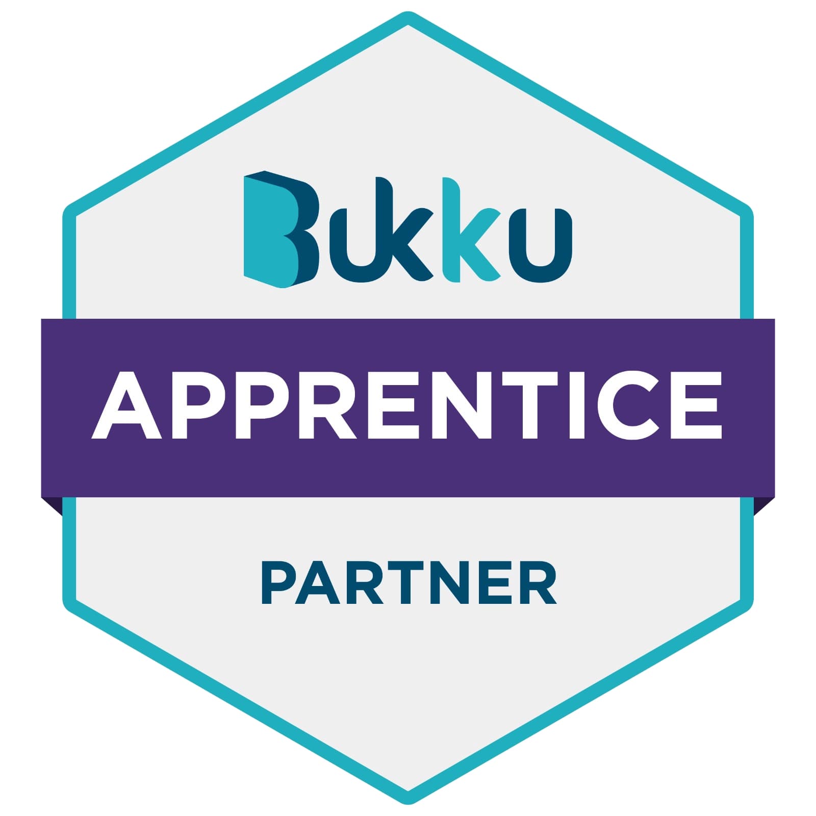 Bukku Apprentice Partner